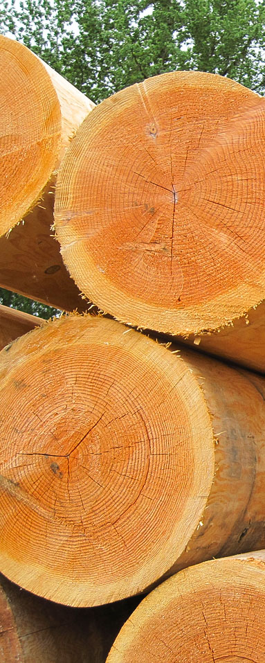 deltaimgwood